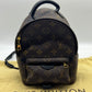Louis Vuitton PALM SPRINGS LEATHER BACKPACK