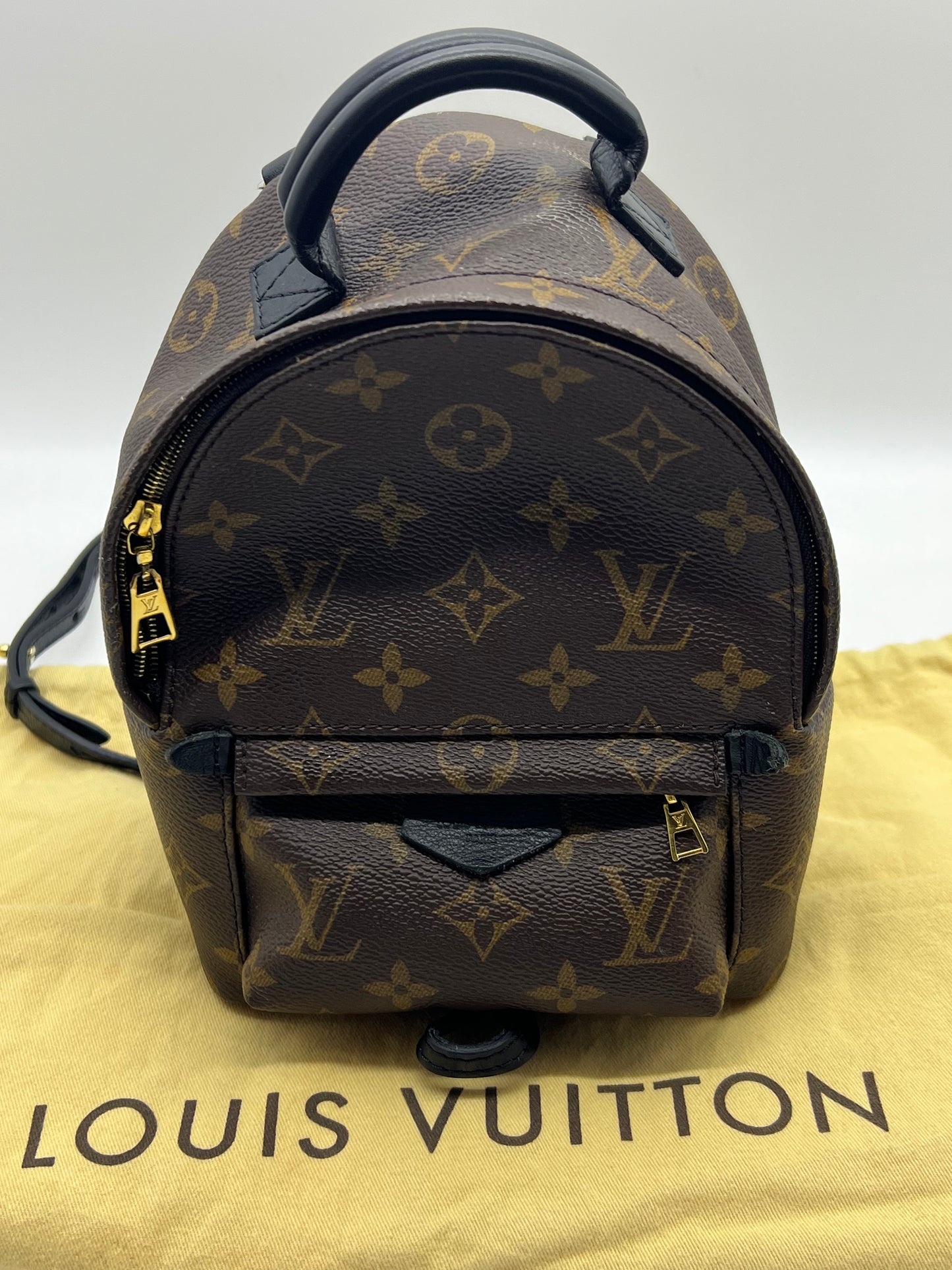 Palm springs leather backpack Louis Vuitton Black in Leather