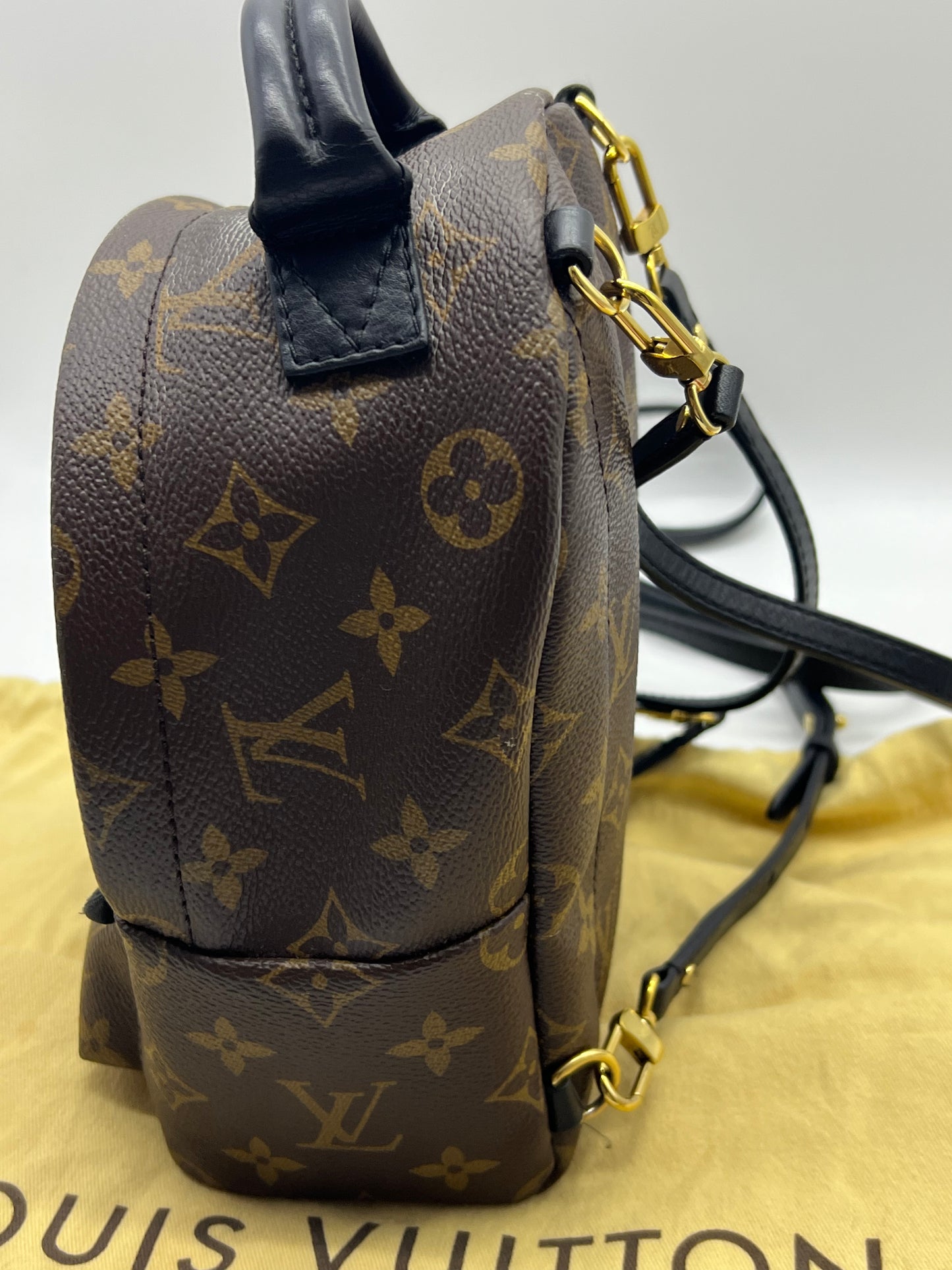 Louis Vuitton PALM SPRINGS LEATHER BACKPACK