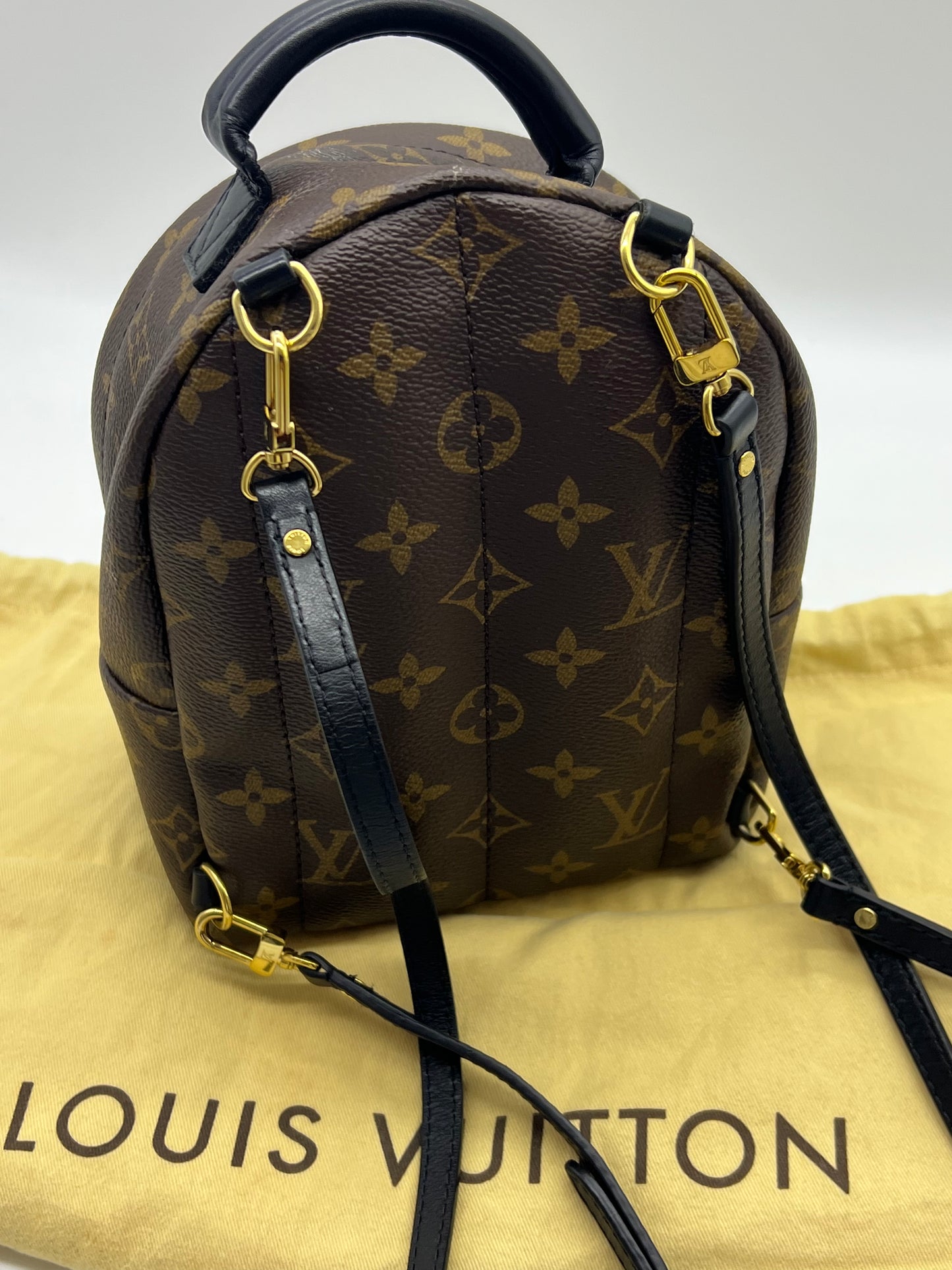 Louis Vuitton PALM SPRINGS LEATHER BACKPACK