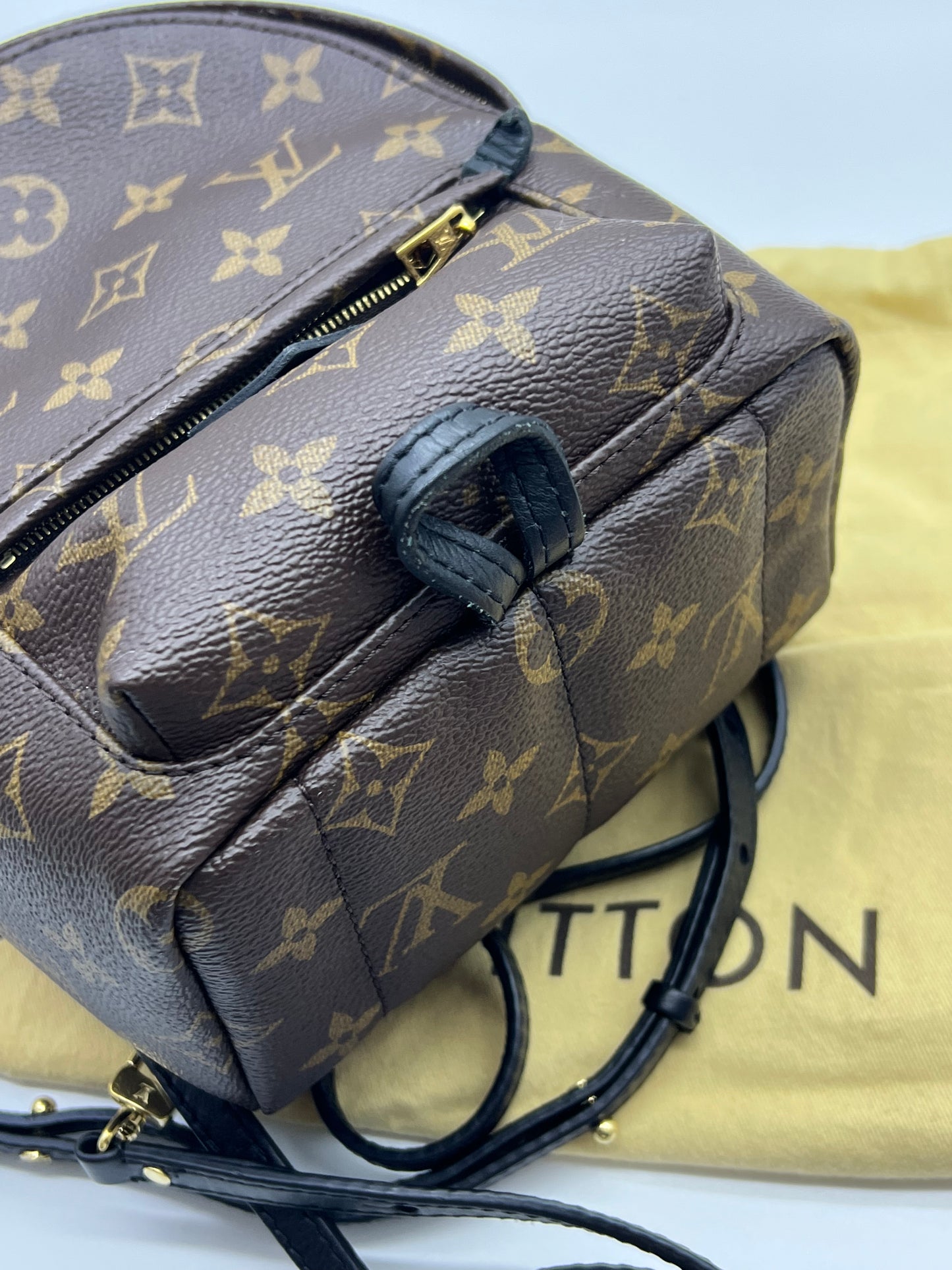 Louis Vuitton PALM SPRINGS LEATHER BACKPACK