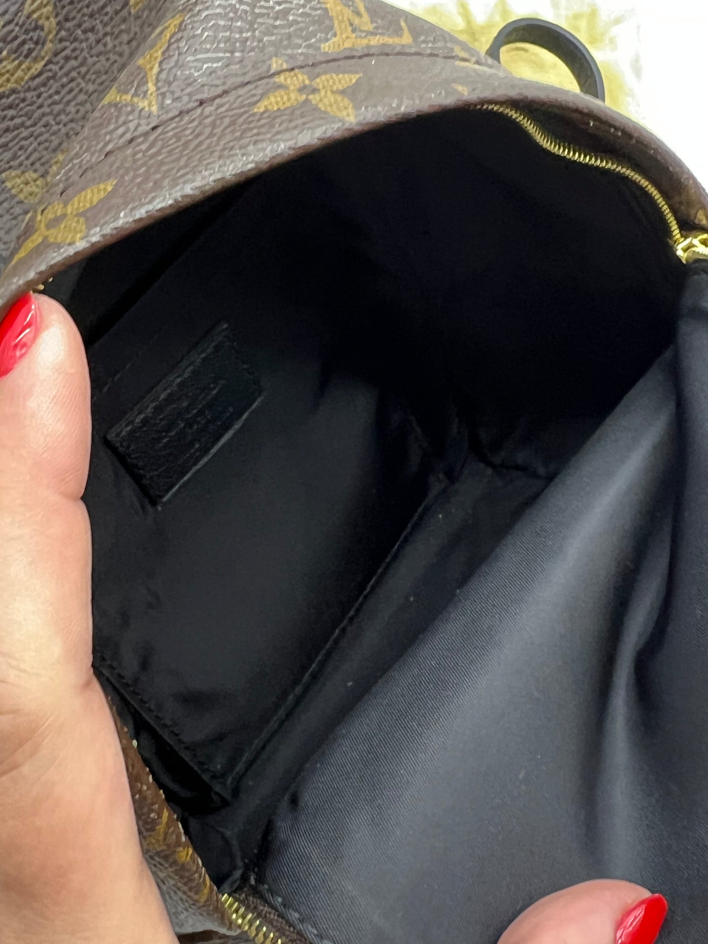 Louis Vuitton PALM SPRINGS LEATHER BACKPACK