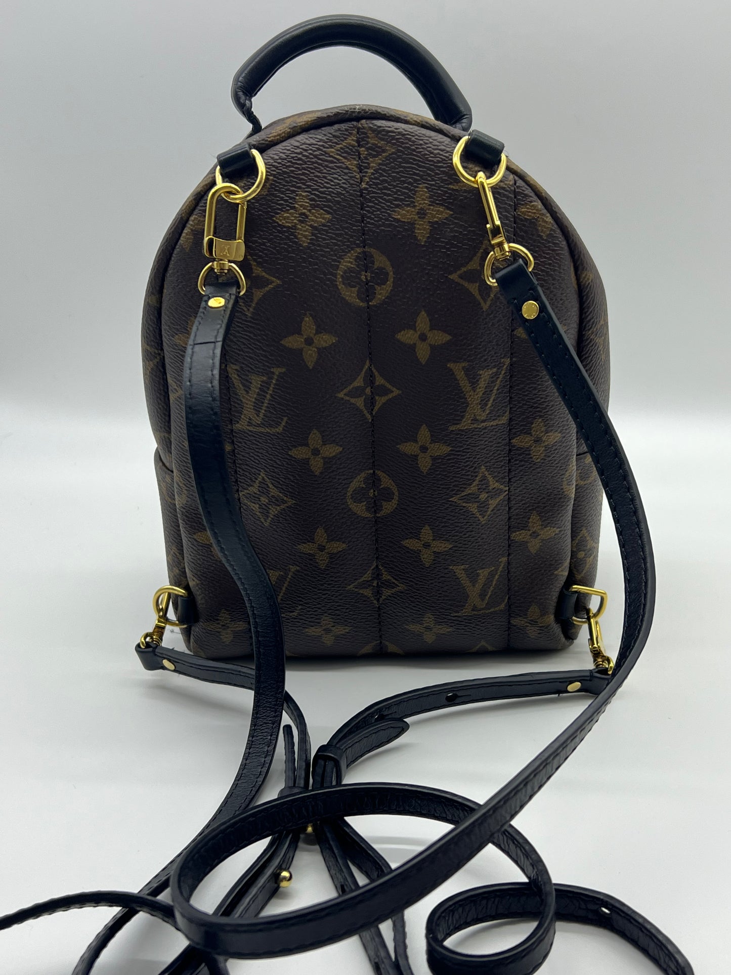 Louis Vuitton PALM SPRINGS LEATHER BACKPACK