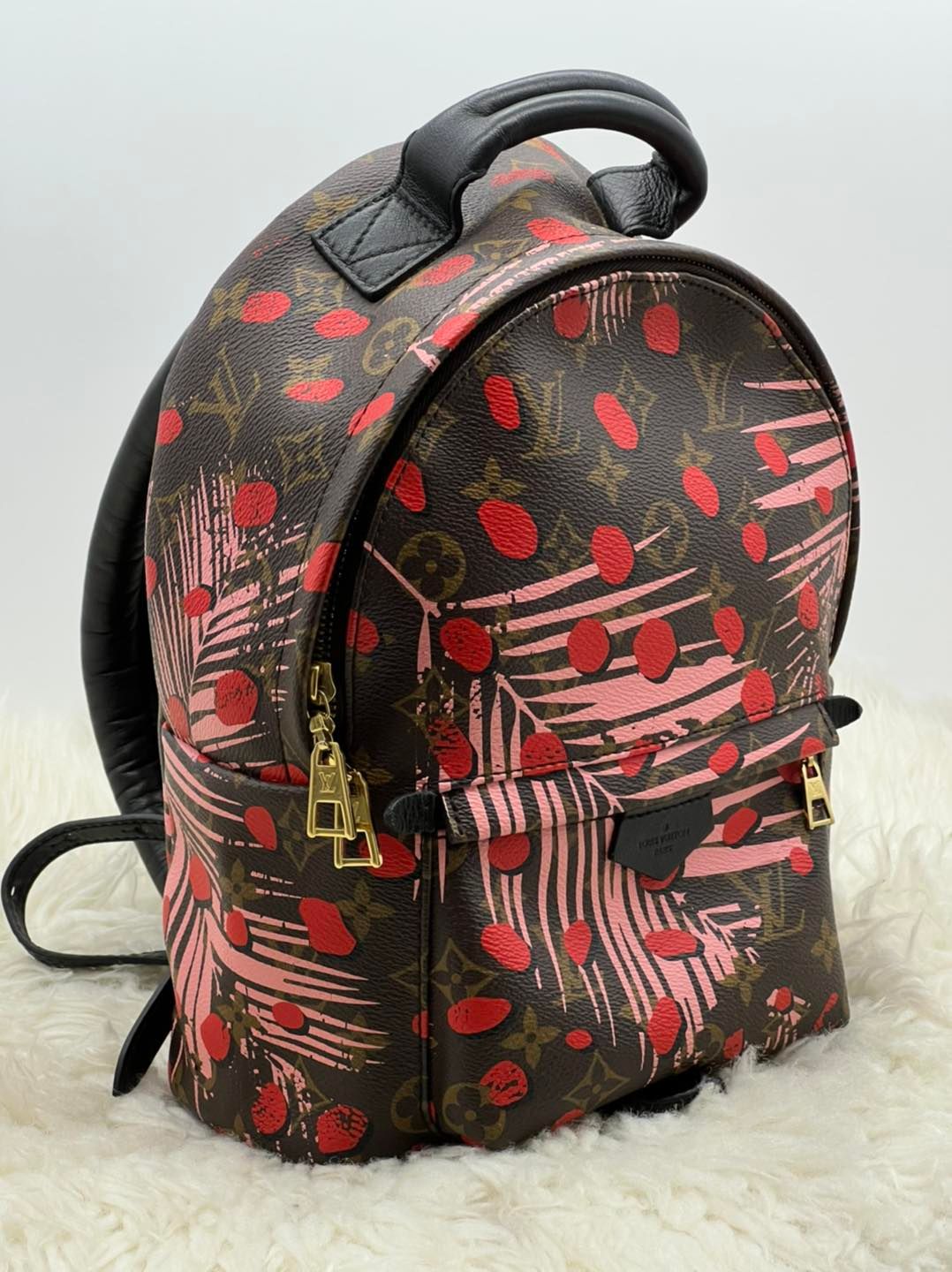 Louis Vuitton Monogram Jungle Dots Palm Springs Backpack (Preloved)
